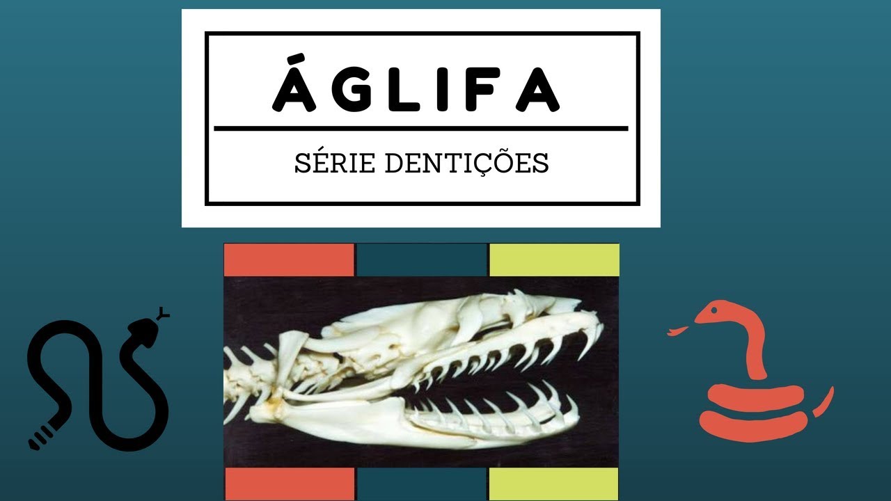 Denti&ccedil;&atilde;o &Aacute;glifa