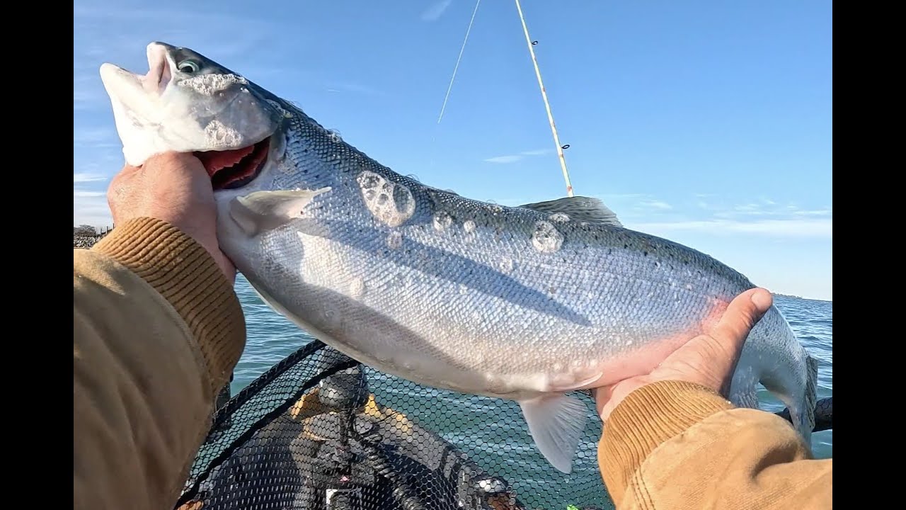 Catching Steelhead & Brown Trout with LiveScope | Racine Wisconsin Fishing