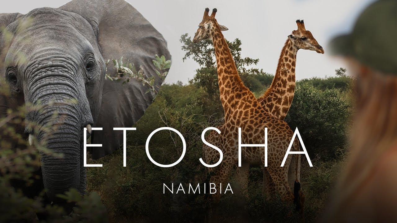 36H SAFARI im ETOSHA Nationalpark! (Namibia) | Self-Drive Roadtrip EP 6/6