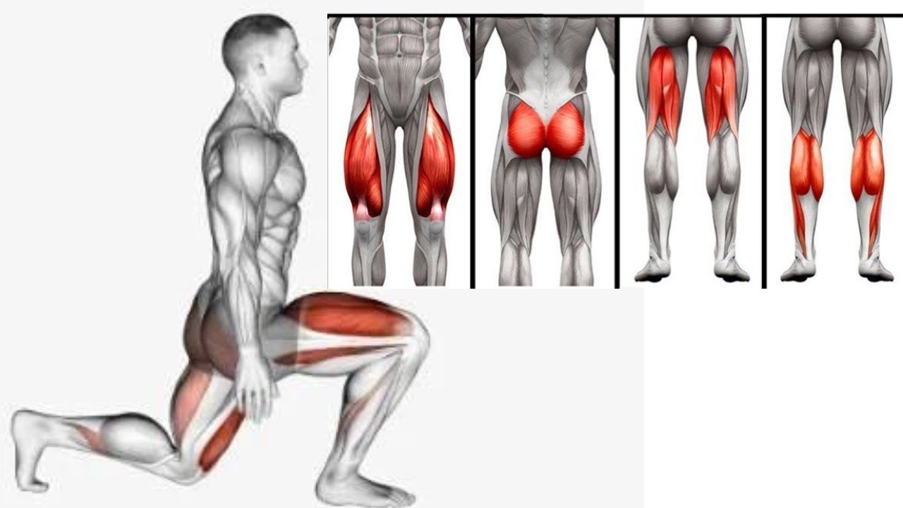 Full LEG Muscle Transformation 8 Best Exercises