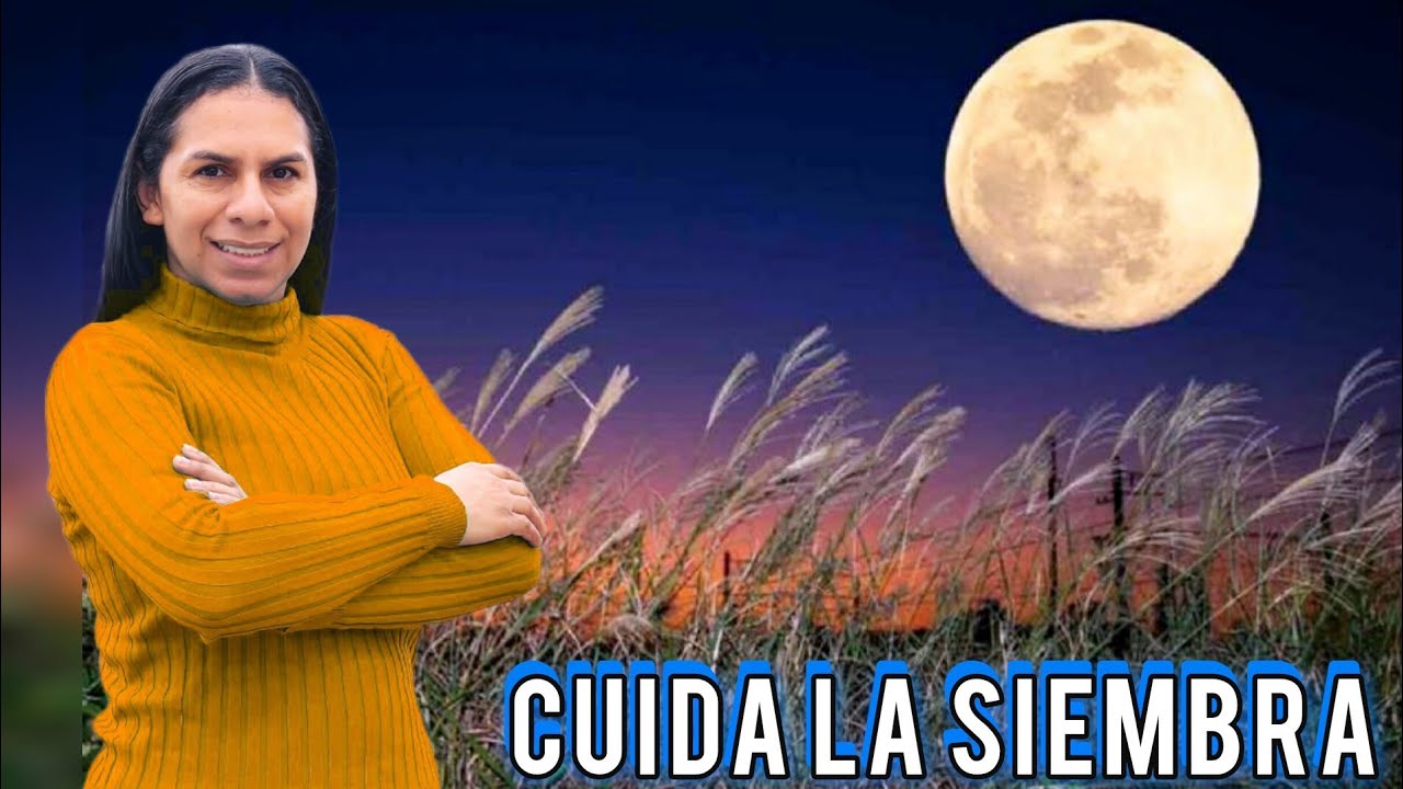 🌱⚠️ Cuidado con la Siembra — Pastora Beatriz Berroa