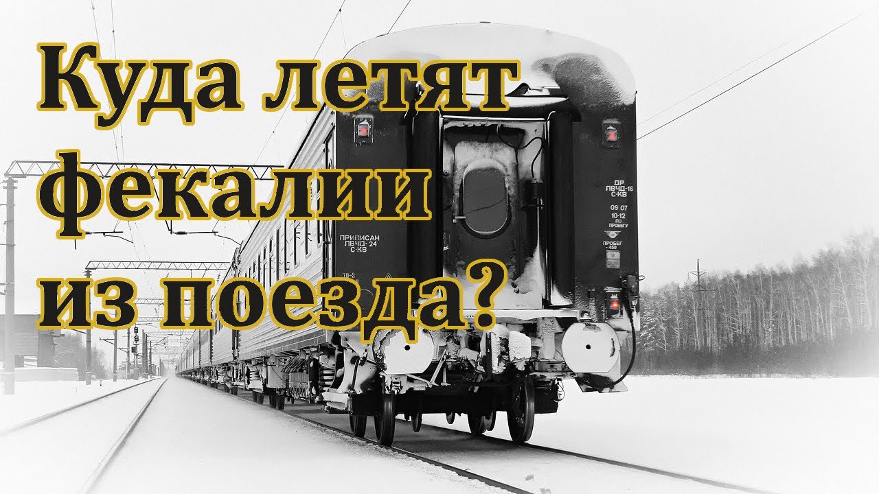 Всё что вы хотели знать о туалетах в поезде.  Куда летят фекалии из поезда?