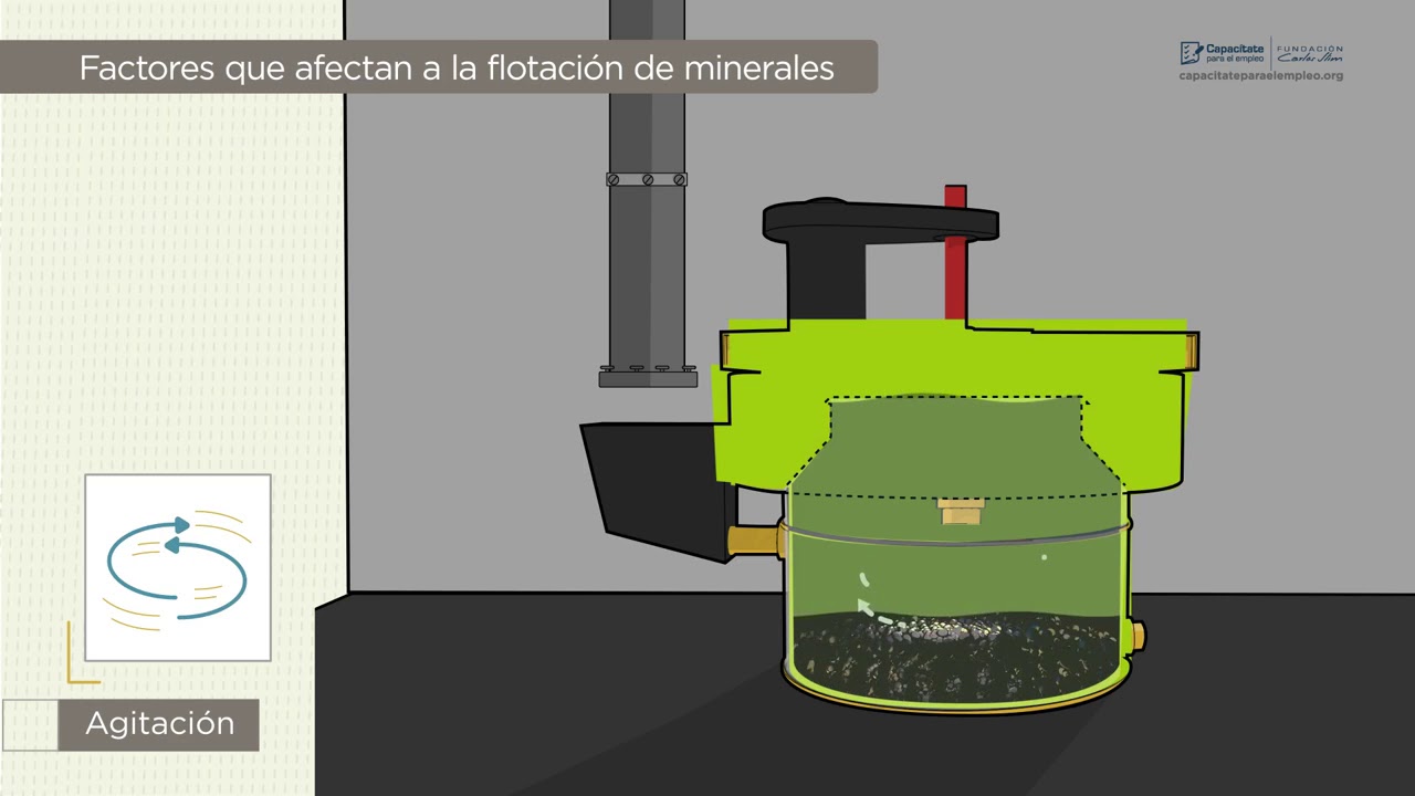 Las Fases del Proceso de Flotación - Nivel 3. Lección 2.2