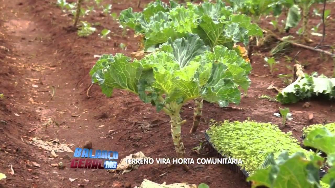 BALAN&Ccedil;O GERAL - Uberaba: Terreno vira horta comunit&aacute;ria