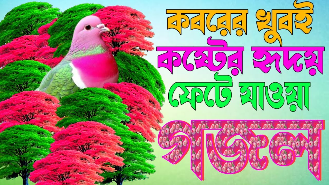 New islamic Romzaner gojol কবরের শেষ বিদায়ের বেলার গজল |কোকিল কন্ঠে খুব কষ্টের সেরা ৮টি গজল| 2026 