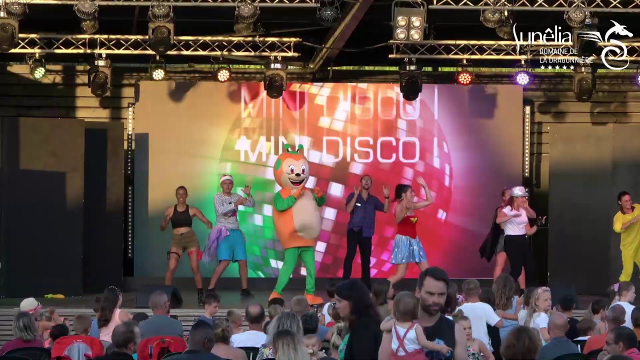 Mini disco