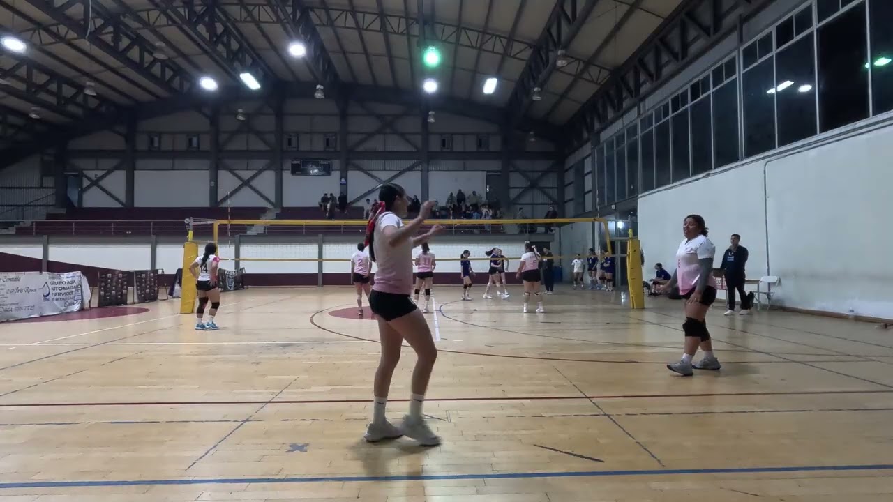 LMVT - Angles vs Starlings Combinado