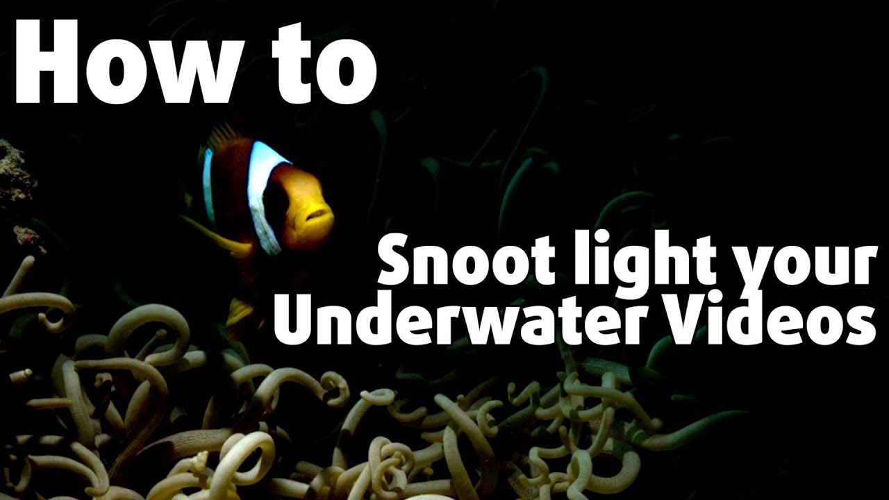 HOW TO USE UW VIDEO LIGHTS DIFFERENTLY 🎥🔦🌊
