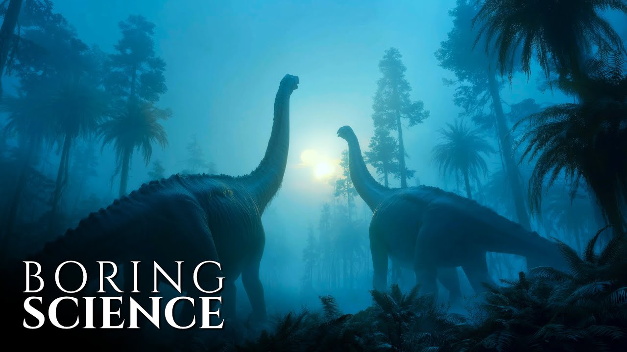 The Last Night of Dinosaurs | Boring Science for Sleep