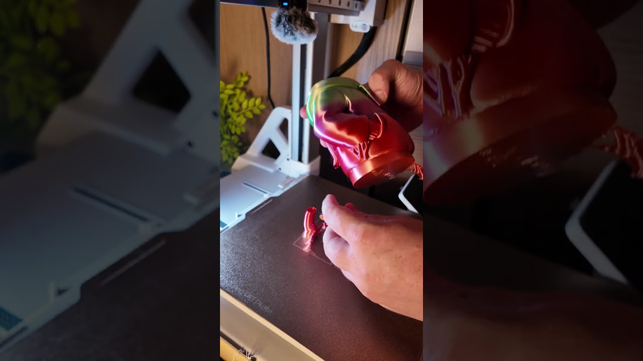 3dHojor Silk filament test 