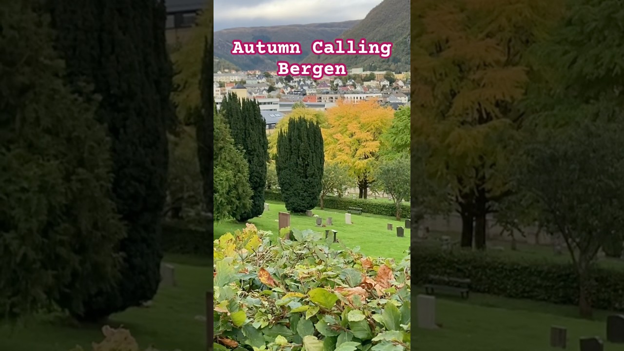 Change is beautiful | Autumn on the way #bergen #norway #autumn #nordic #lifeinnorway #scandinavia