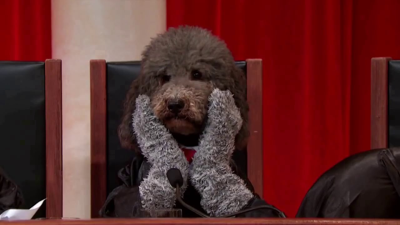 Arizona v. United States: Oral Argument - April 25, 2012