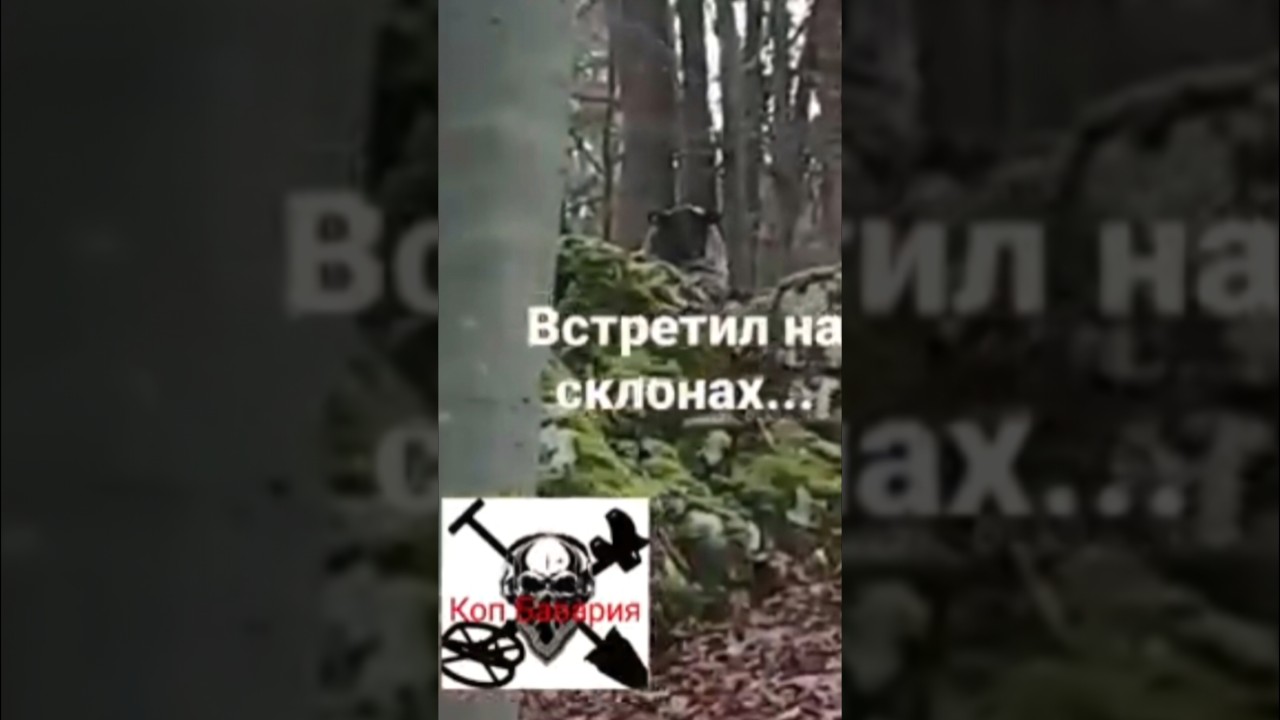ШОК!  Немецкий шпион ФРИЦ пойман в лесу! 🐑🇩🇪