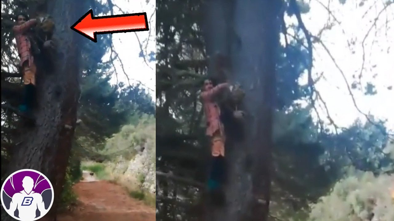 Los V&iacute;deos De Terror M&aacute;s Paranormales Captados Por Campistas Parte 3