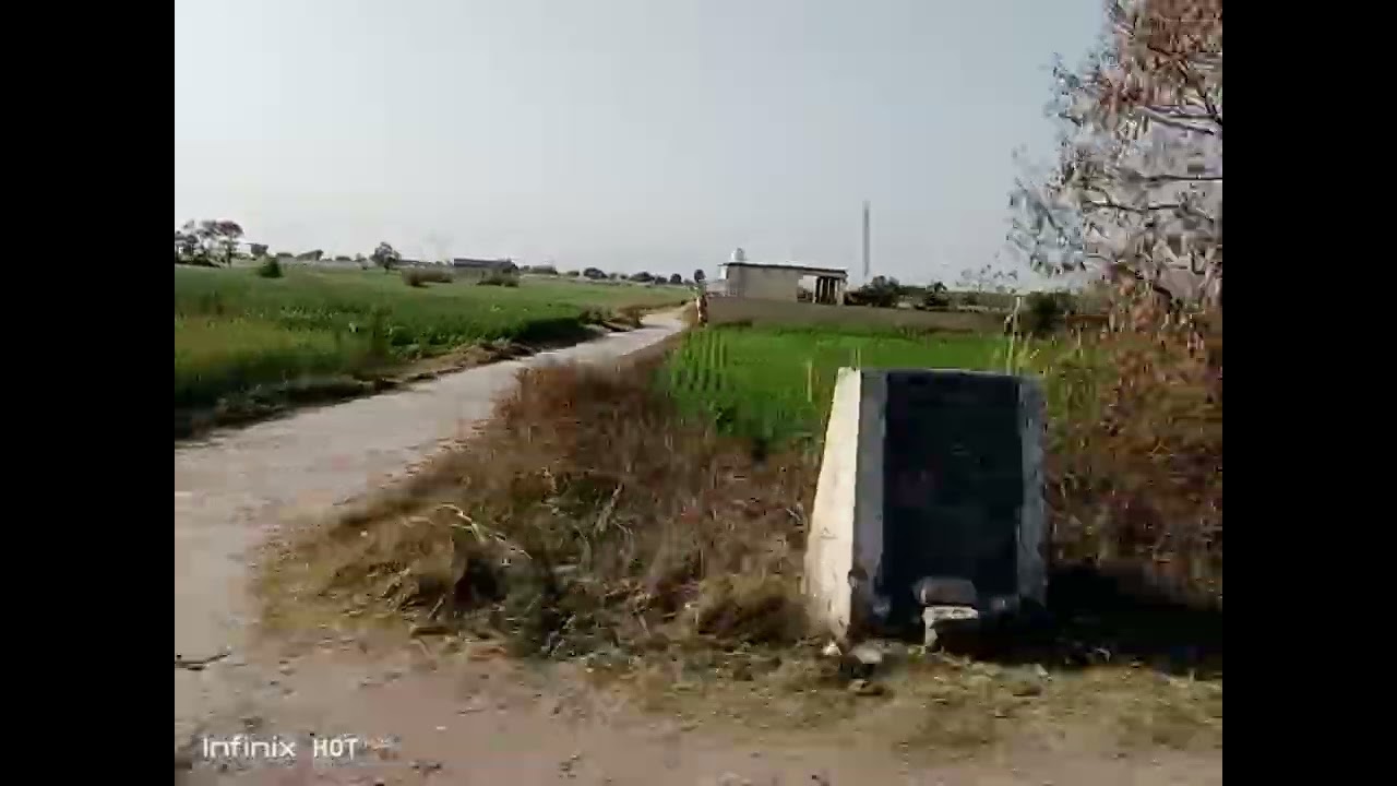 ##🌲🌴🌱🌳🌿🌳##