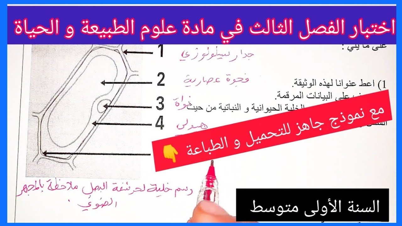 اختبار الفصل الثالث في مادة علوم الطبيعة و الحياة السنة الأولى متوسط مع نموذج جاهز للتحميل و الطباعة
