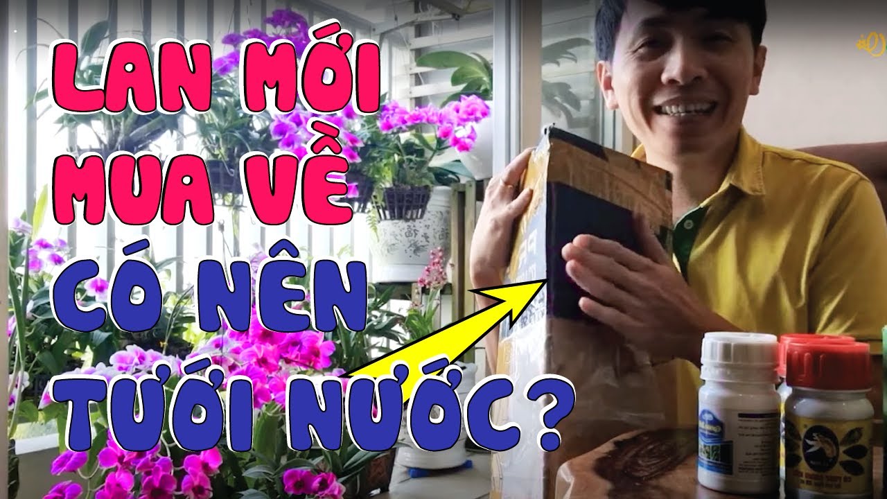 Lan Mua Trên Mạng Về Phải Xử Lý Thế Nào Mới Đúng? | #MêLanTV