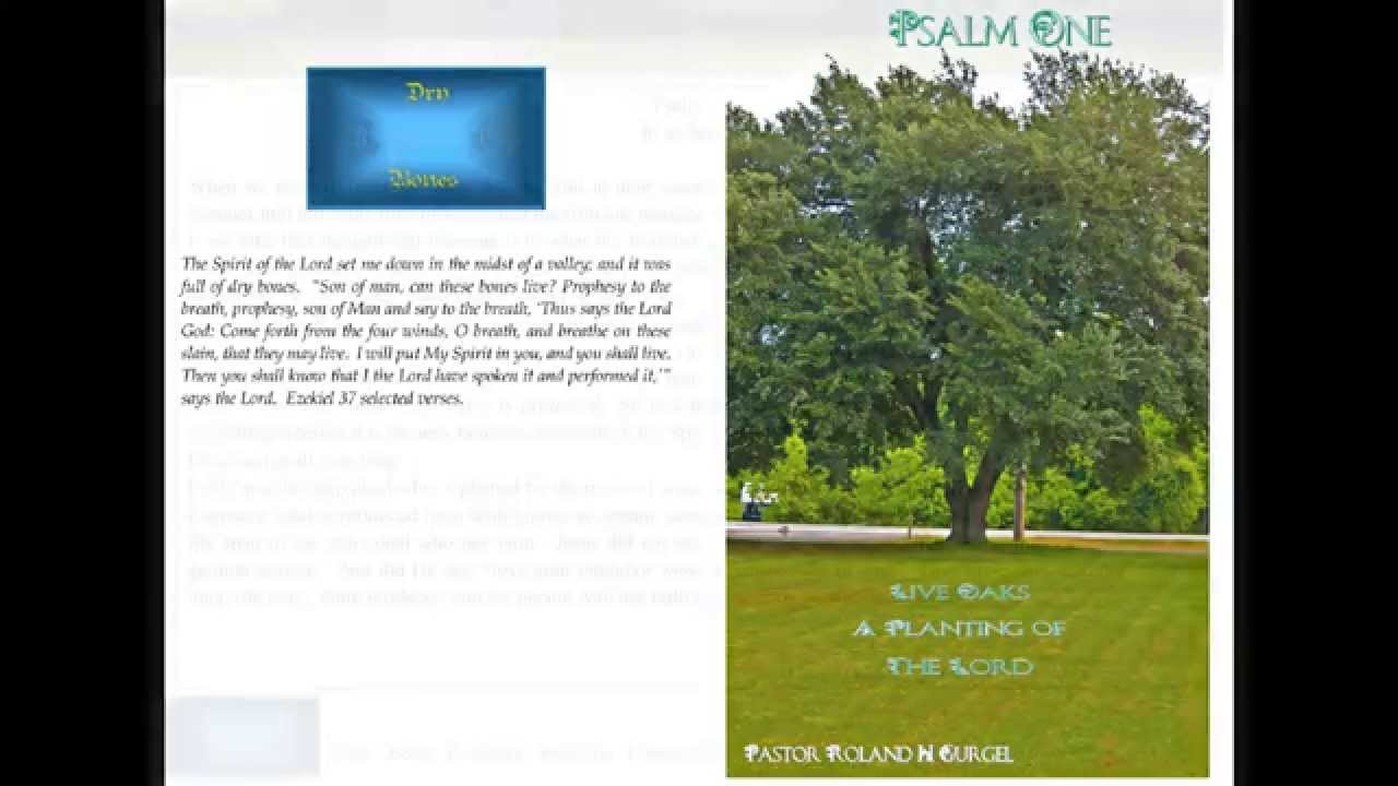 Psalm 1:3  Meditation #17  In Its Season