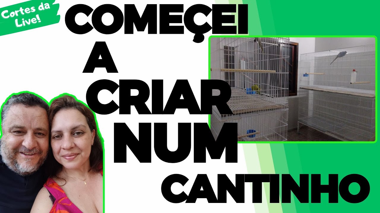 COMO EVOLUIR O CRIADOURO?