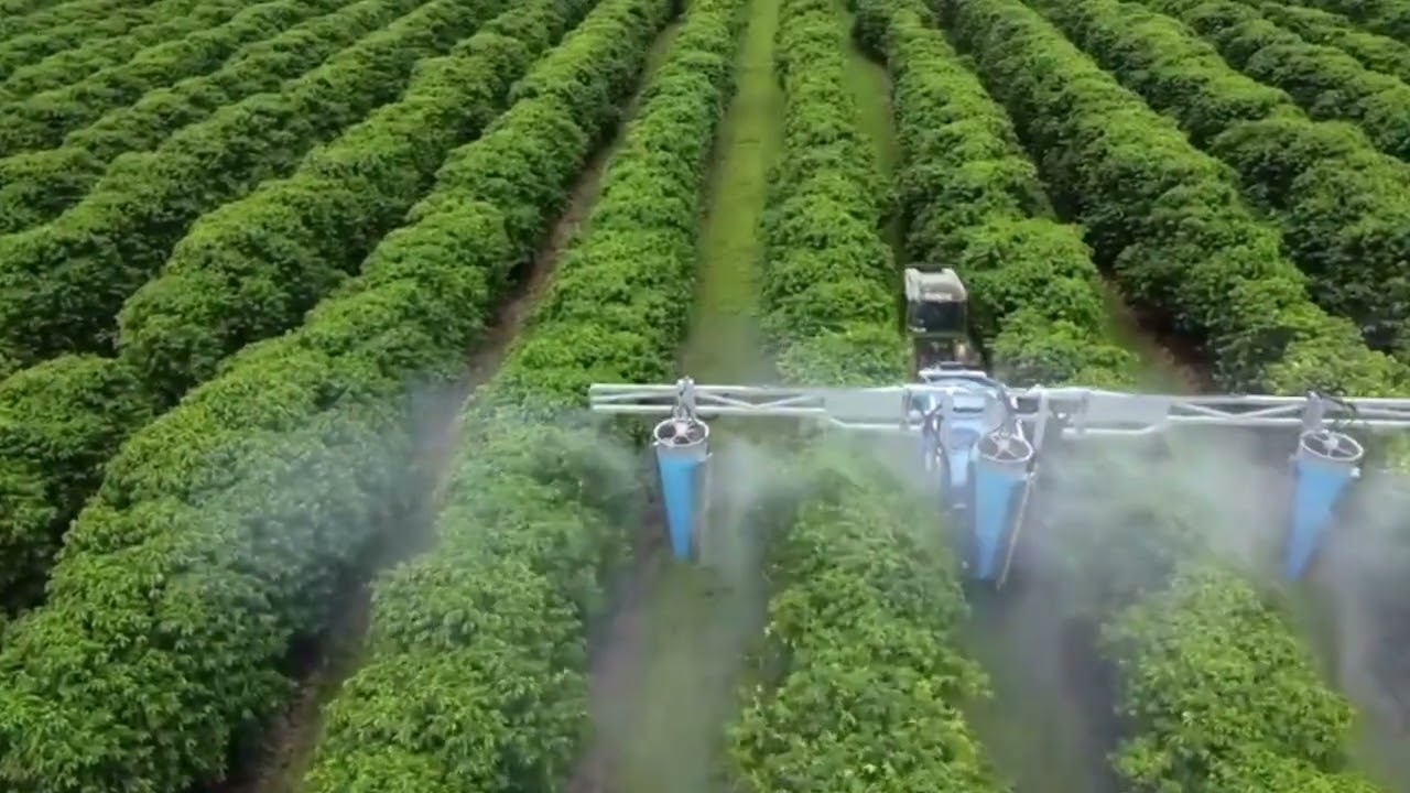Ideal Vortex Orchard Sprayer