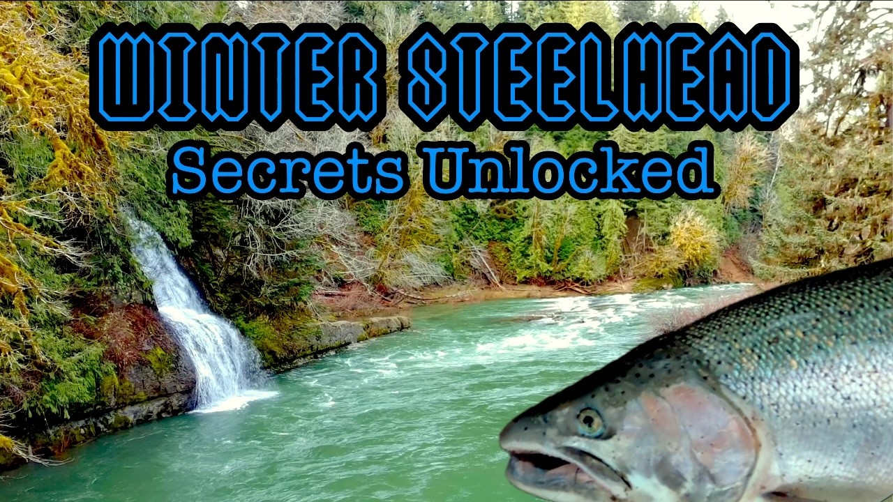 Winter Steelhead: The Untold Way Of The River