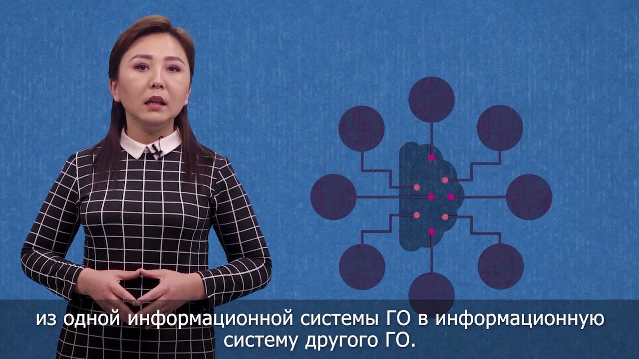 Про Систему межведомственного электронного взаимодействия «Түндүк»