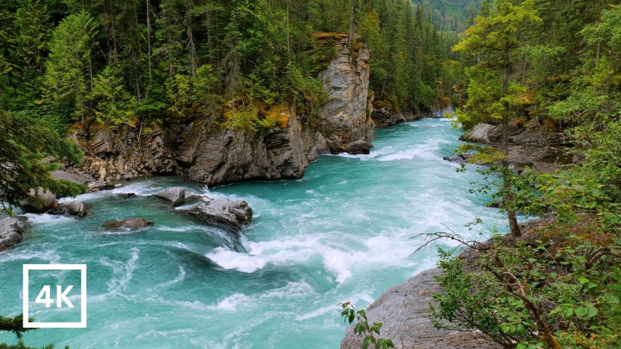 4K Fraser River Ambience | Nature Scene for Relaxation | Forest River Nature Sounds | White Noise