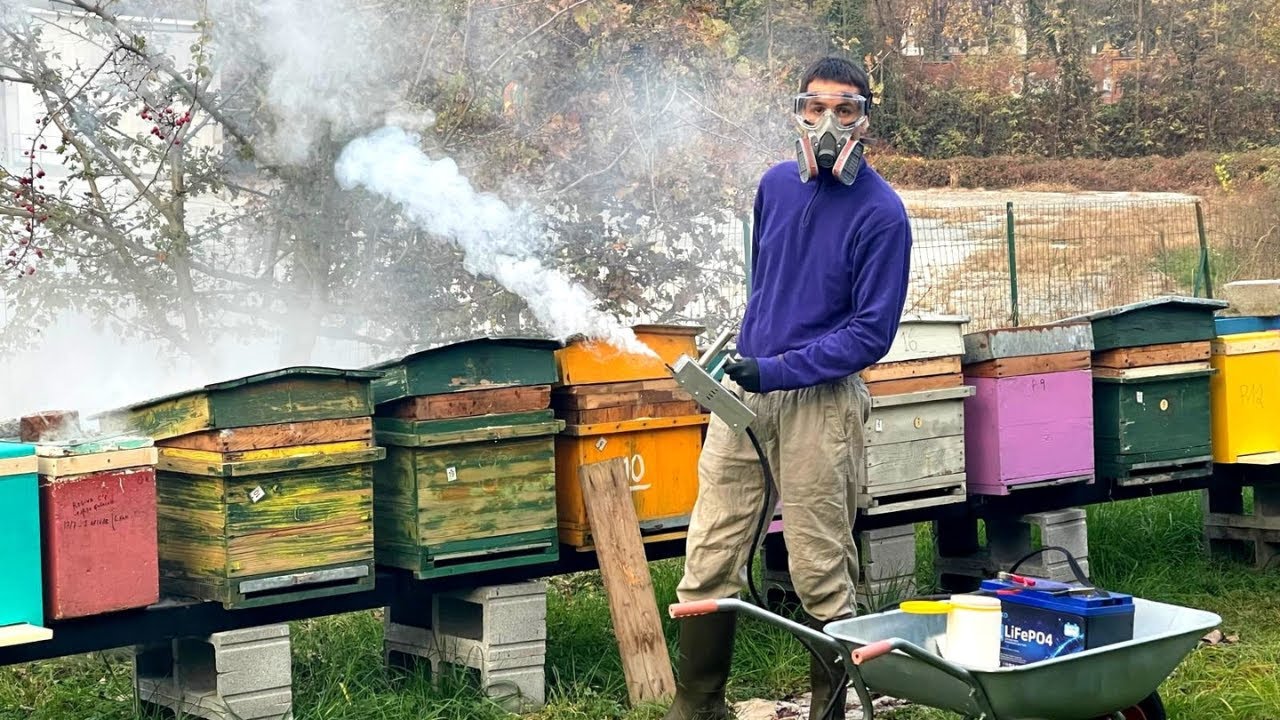 Invernamento e Trattamenti Varroa PASSO PASSO: Come ho preparato le mie API per l'Inverno ❄️