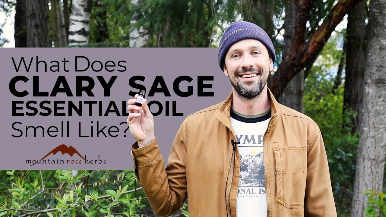 What Does Clary Sage Essential Oil Smell Like?