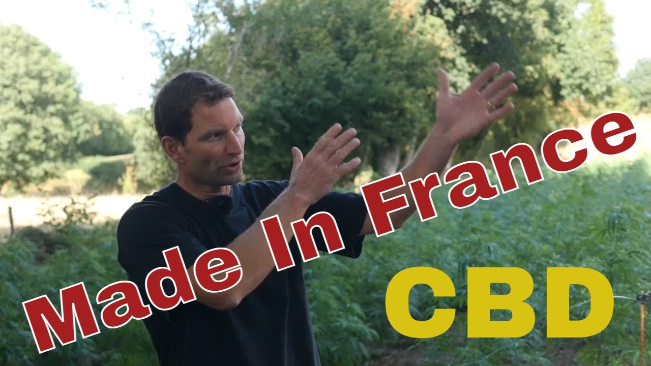 Le probl&egrave;me des Producteurs de CBD Fran&ccedil;ais - Produire en France ?