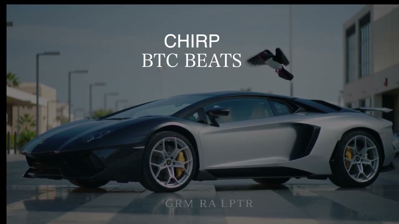[FREE] Flute Freestyle Type beat &ldquo; CHIRP&rdquo; Trap Type Beat