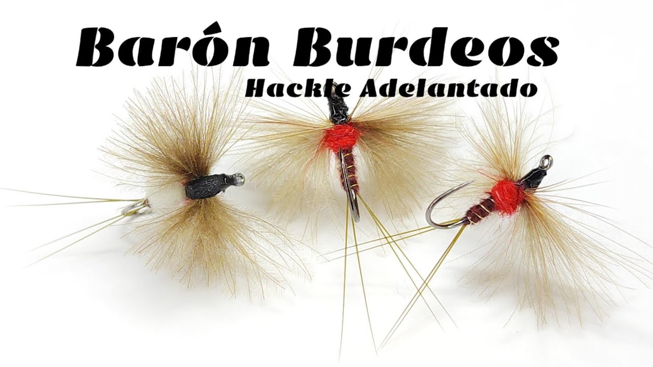 Montaje de moscas: Barón Burdeos CDC de Hackle Adelantado.