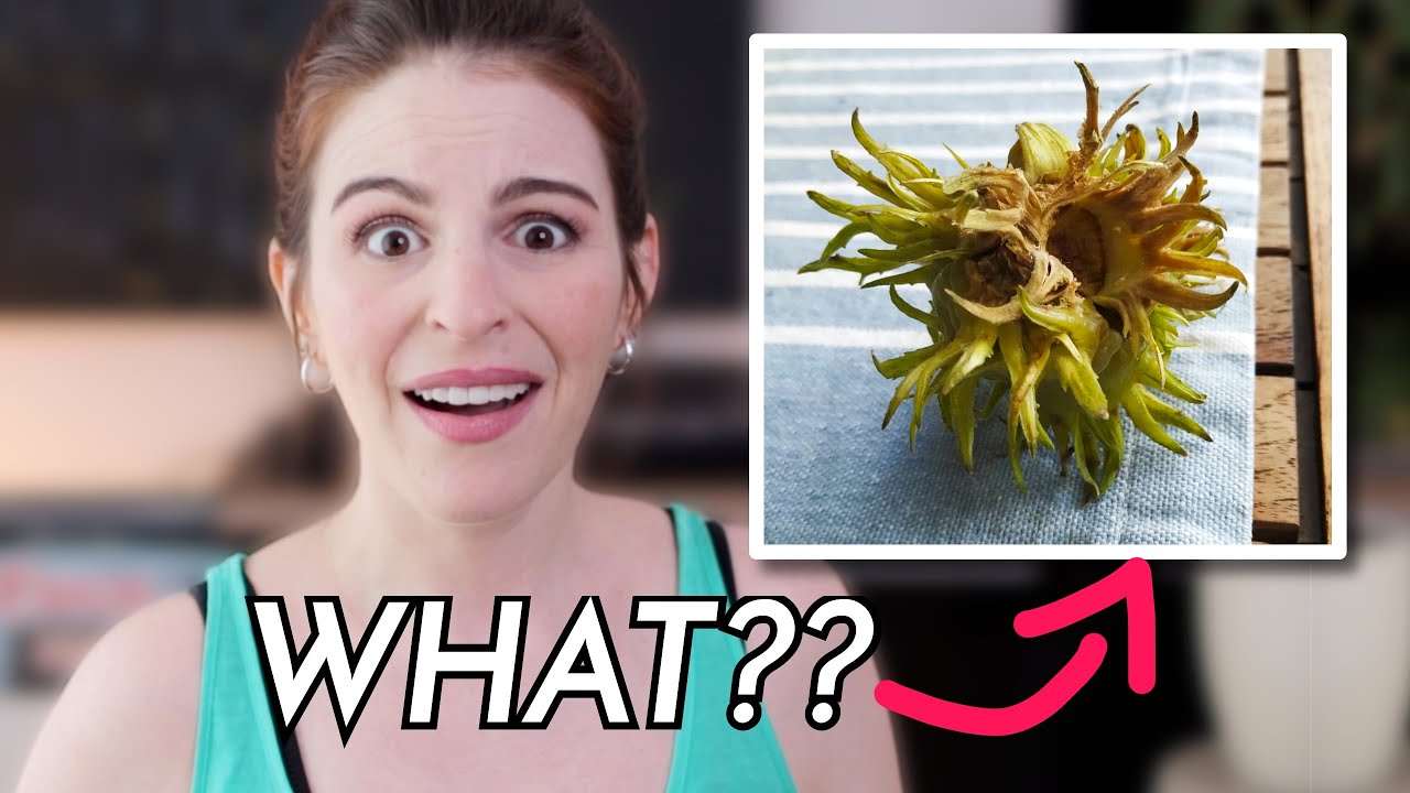7 Weird Germany vs. USA Differences i never noticed before | American in Germany