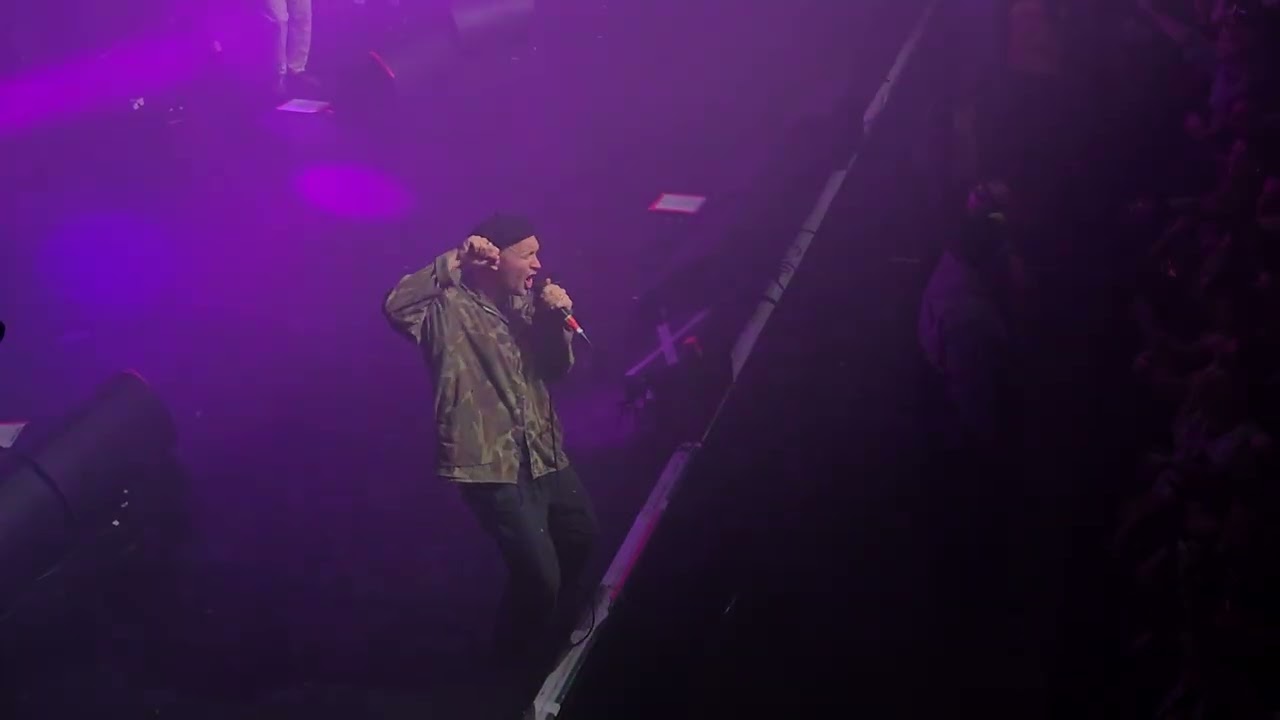 The Twang | Two Lovers 