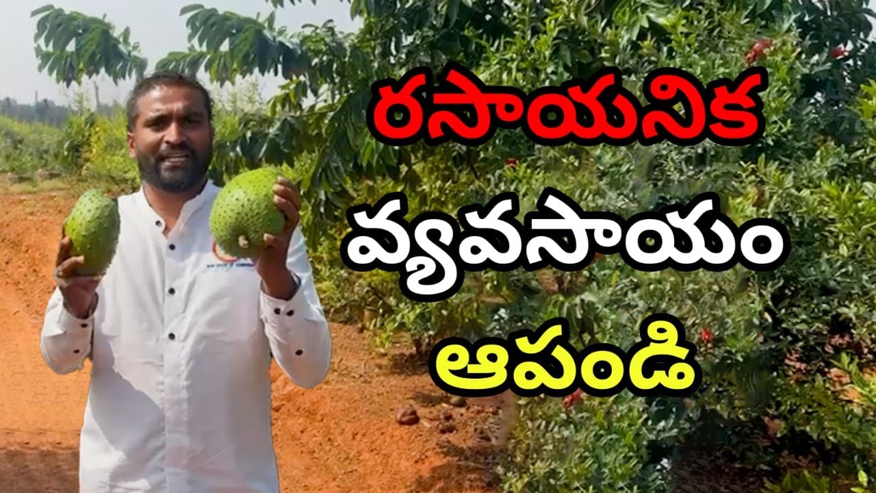 Dont use chemicals | COW | BVM CREATIONS | BVM Siva Shankar | Telugu