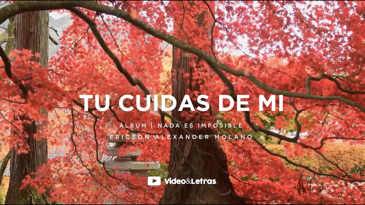 Tu Cuidas De Mi | Ericson Alexander Molano | Video y Letras