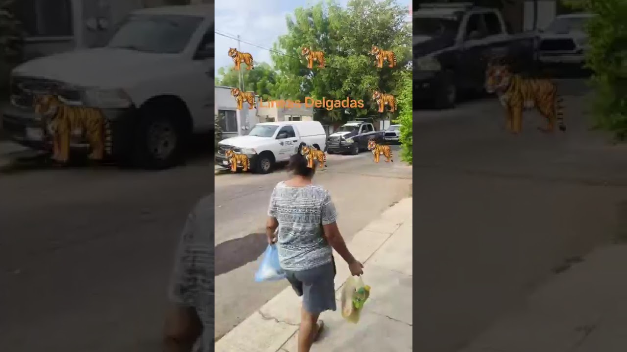 LOCALIZAN CARTULINA CON MENSAJE AMENAZANTE EN LA ZONA NORTE DE VILLA DE ÁLVAREZ, COLIMA