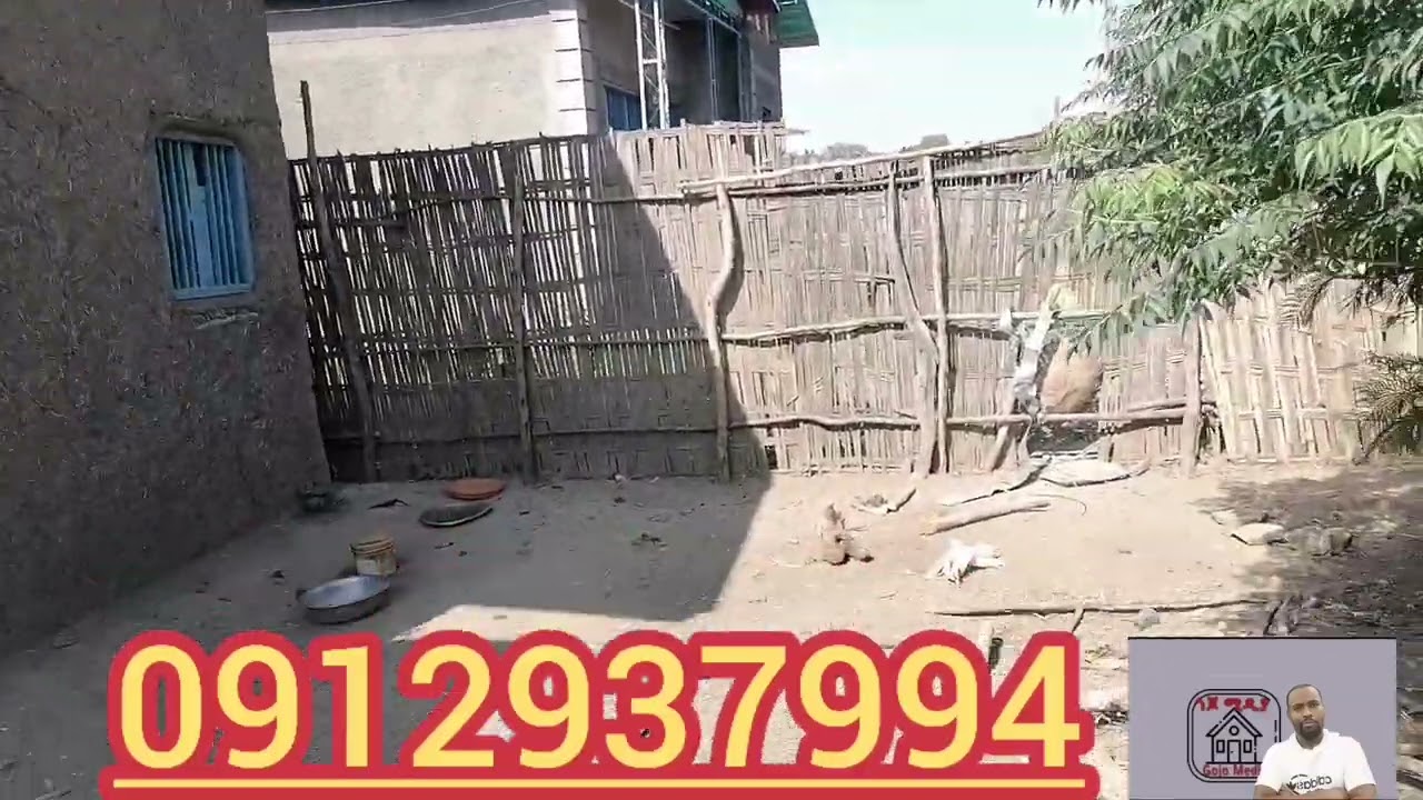 ሁለት የሚሸጡ ቤቶች በውቧ ሳንኩራ አለም ገበያ
