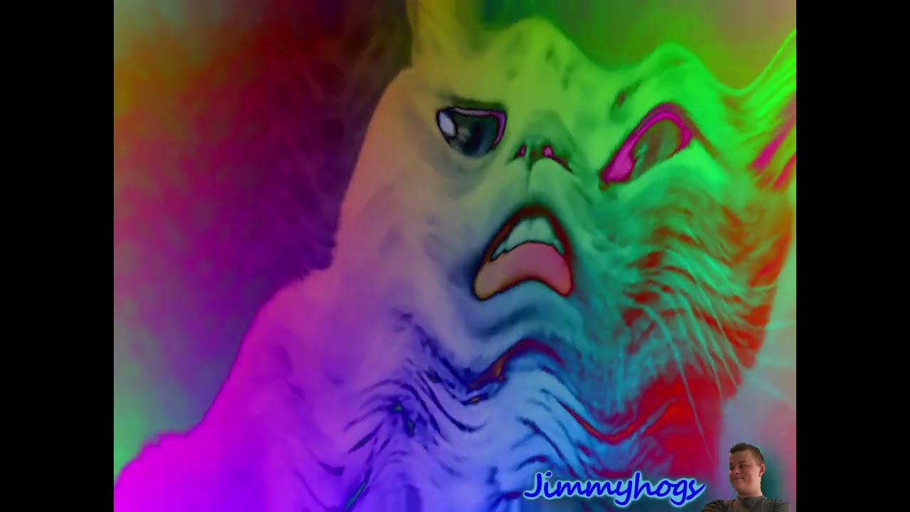 Preview 2 Numa Cat 2022 Effects Effects (Preview 2 Effects)