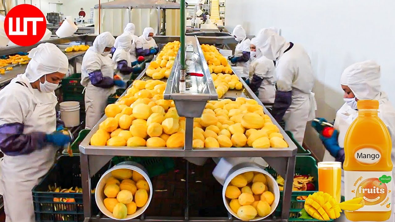 How Mango Juice Is Made In Factory | Modern Fruit Juice Making Technology | Food Factory