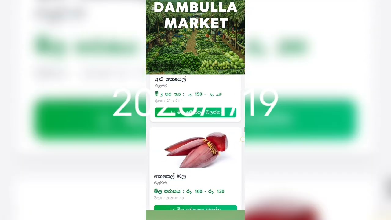 Dabulla market දඹුල්ල මාර්කට් 2026/1/19 තාමත් මිල හොඳයි