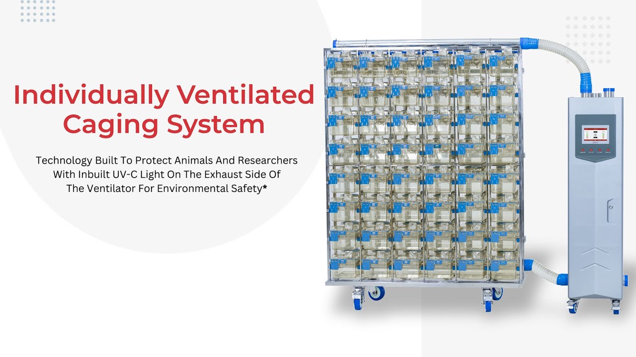 Individually Ventilated Caging System (IVC)