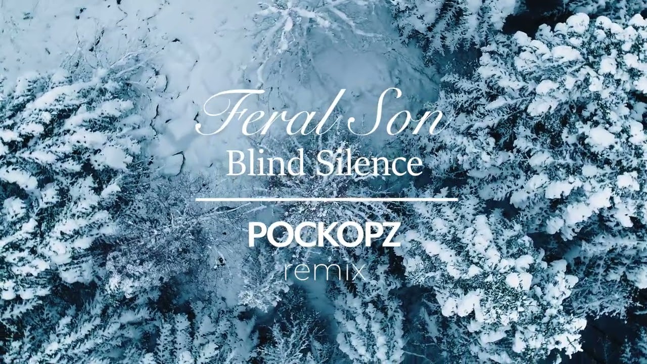 Feral Son - Blind silence (POCKOPZ remix)