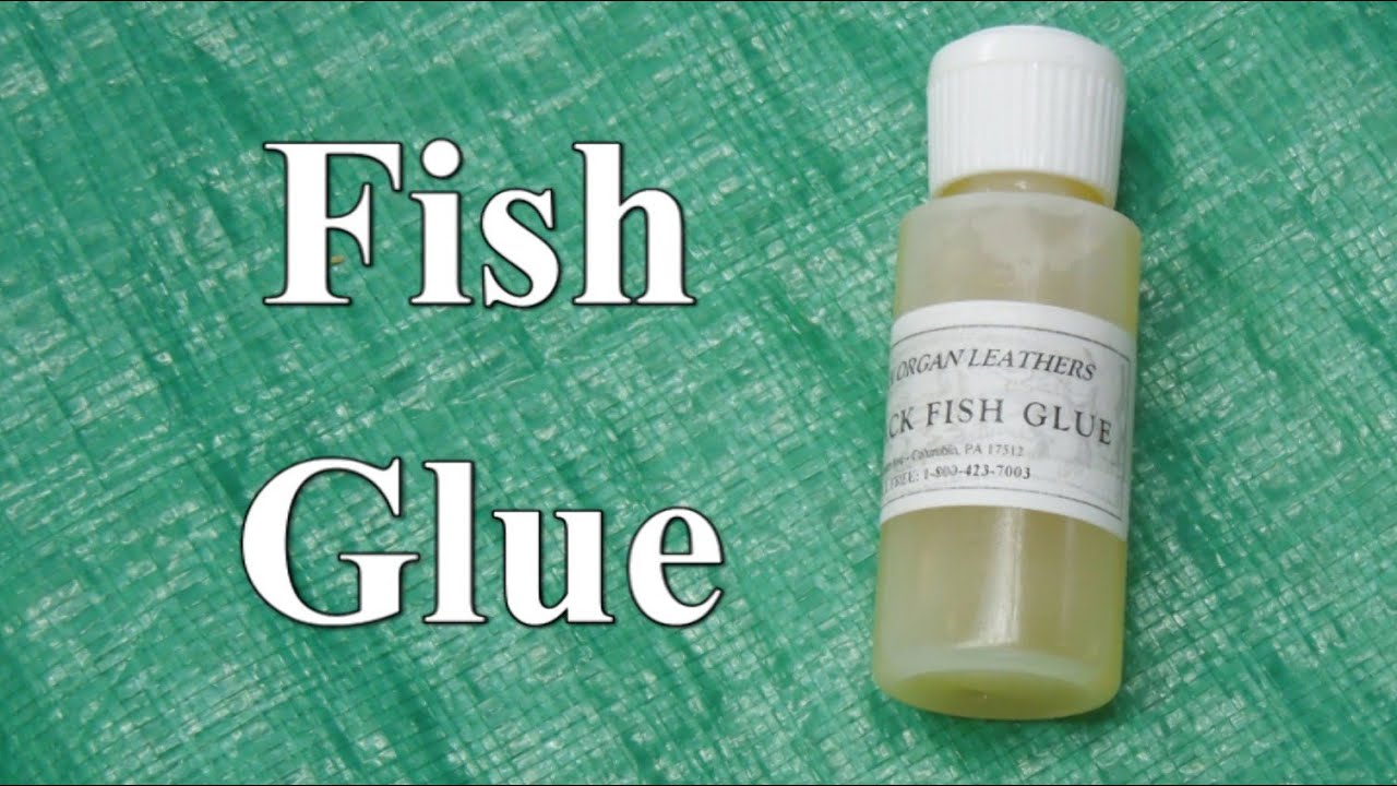 Building The Busker Organ - Fish Glue Strength Test Part 2B