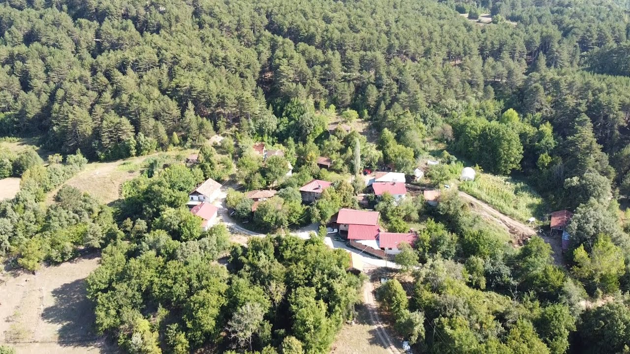 KASTAMONU / ARAÇ / DEREÇATI KÖYÜ