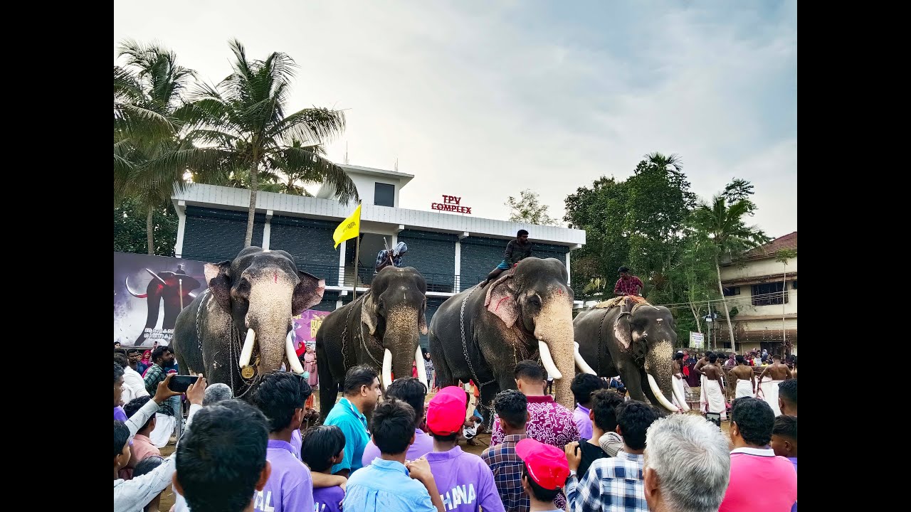 വെളിയംകോട് ചന്ദനകുടം നേർച്ച 2023 രണ്ടാം ദിവസം