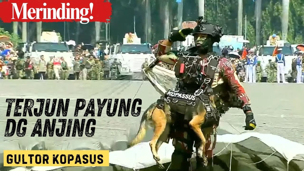 Ngeri! Pasukan Gultor Kopasus Ini Terjun Payung Dengan Membawa Anjing