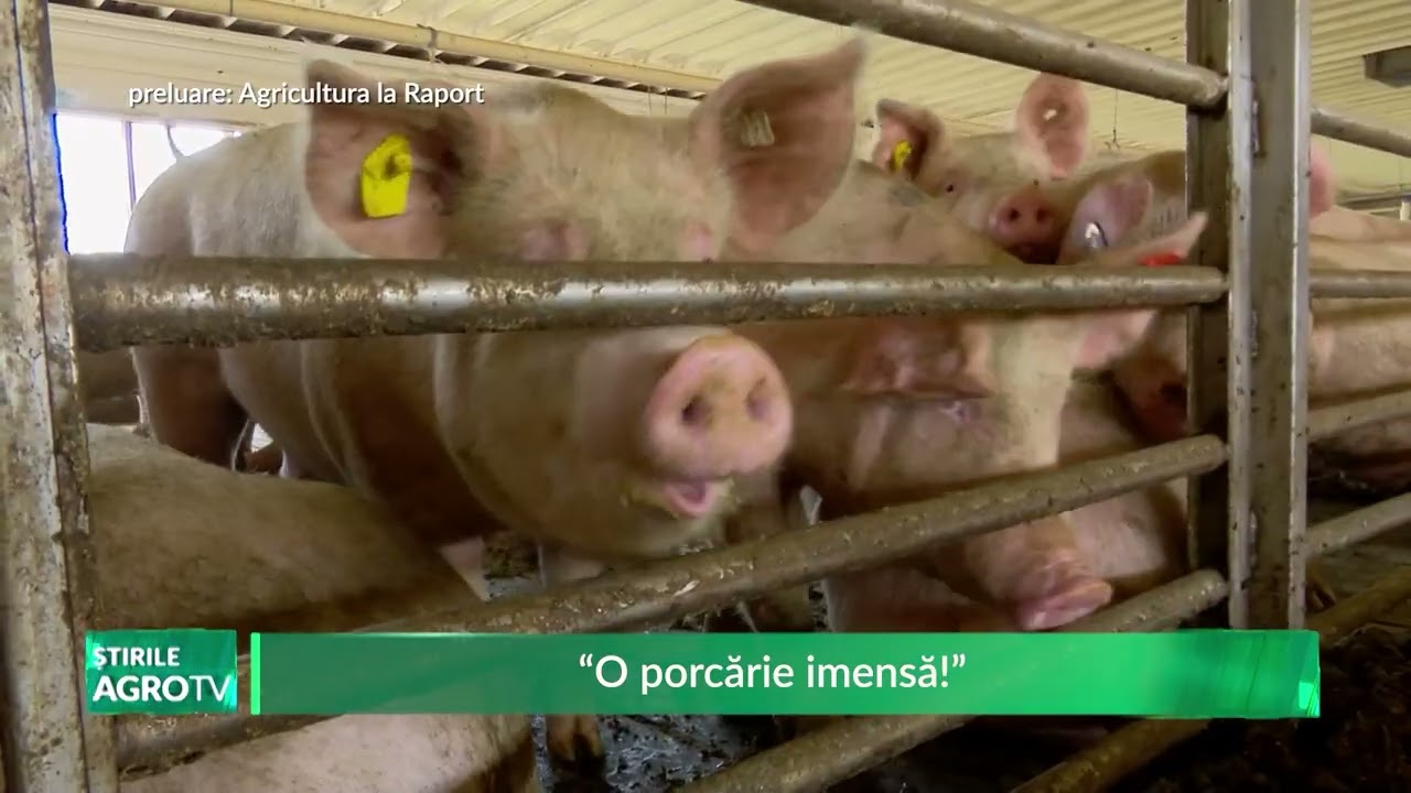 “O porcărie imensă!” 09 02 2026