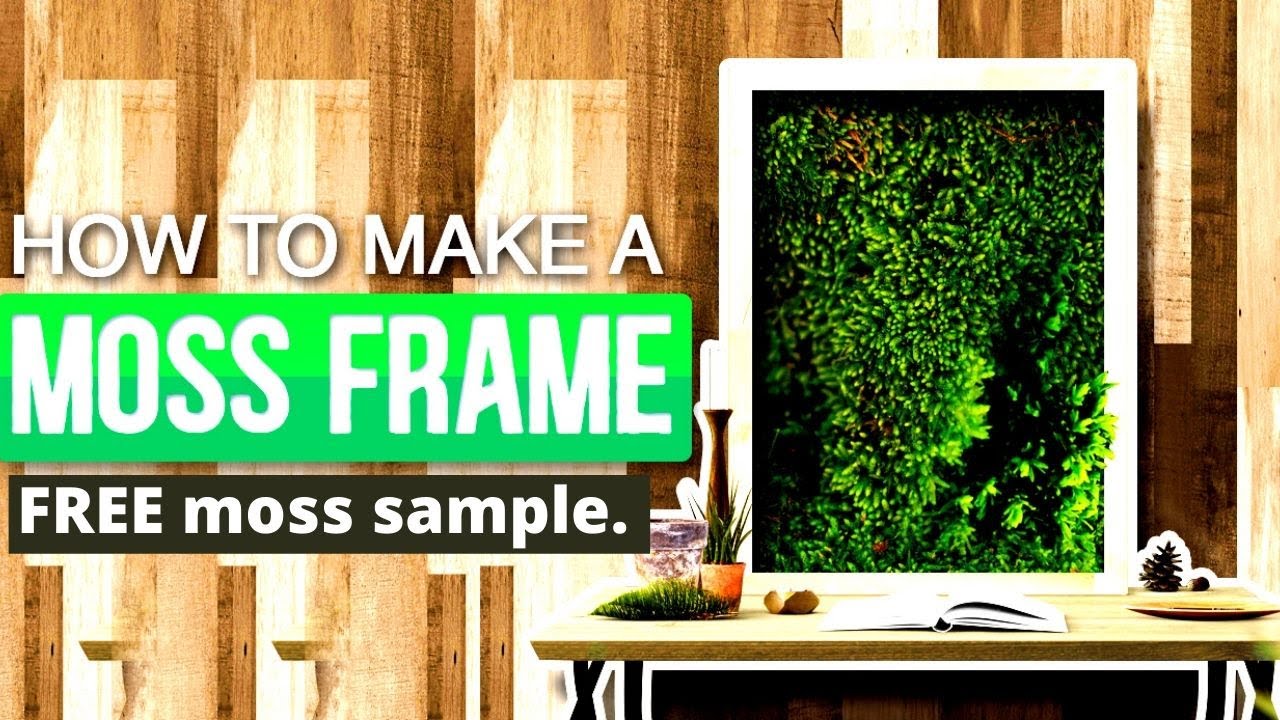 Making a Moss Frame - Your FREE Sample