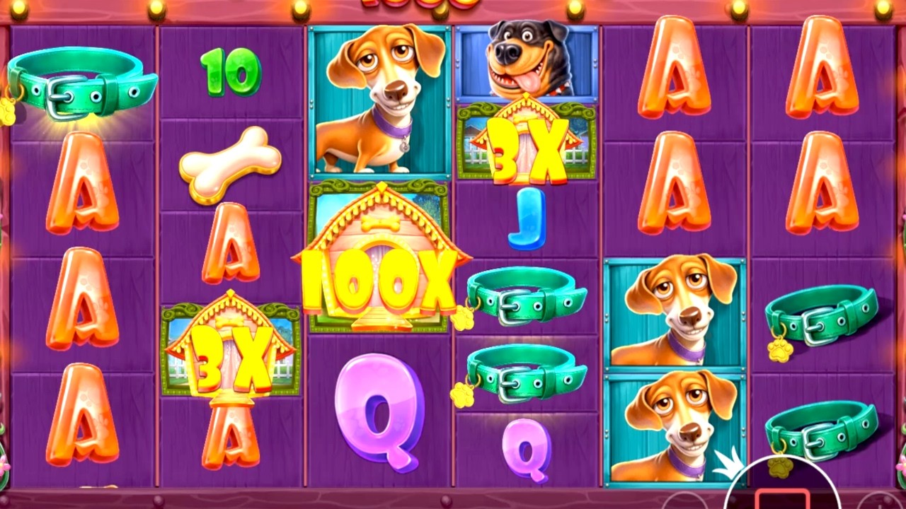The Dog House Megaways 1000 Builds Up Multis for Some Big WIns